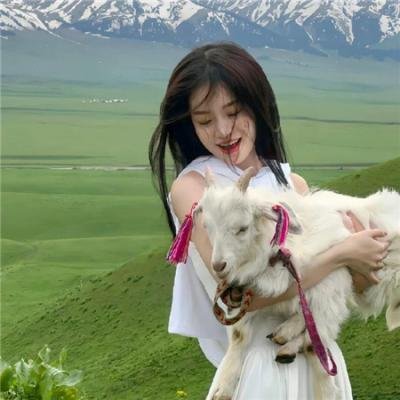 赛马娘第二季